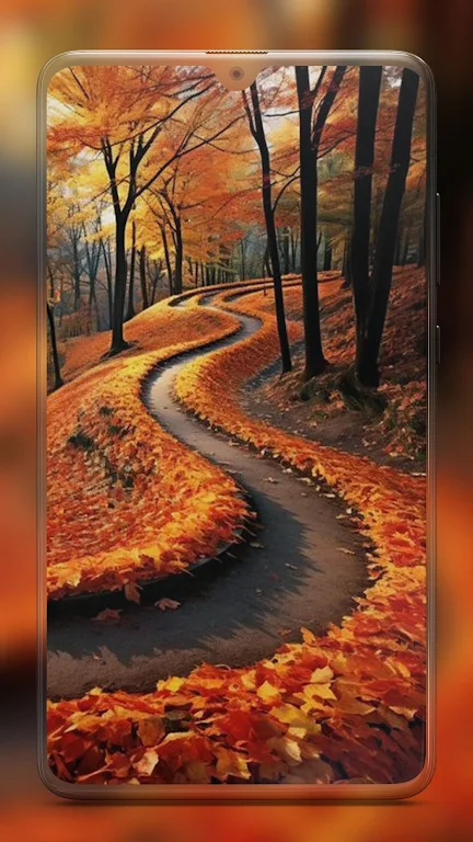 Autumn Wallpapers HD Screenshot2