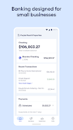 Novo - Small Business Checking Screenshot1