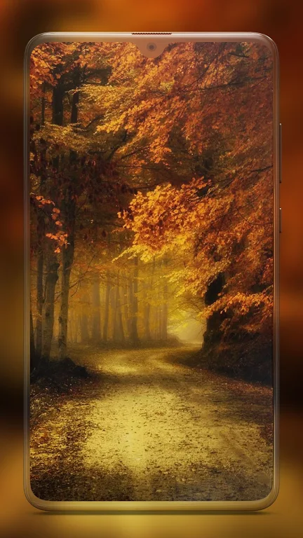 Autumn Wallpapers HD Screenshot1
