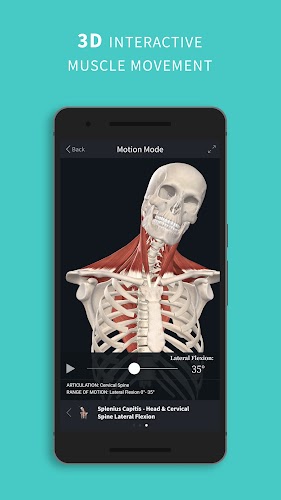 Complete Anatomy 2024 Screenshot3