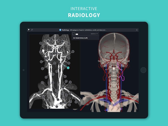 Complete Anatomy 2024 Screenshot15