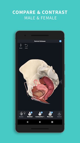 Complete Anatomy 2024 Screenshot5