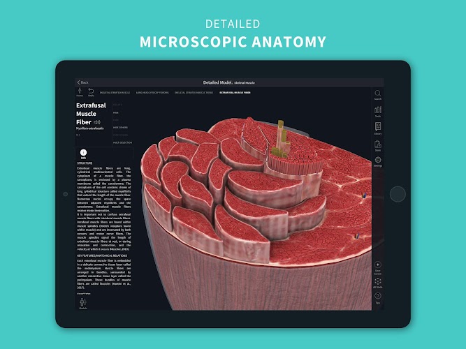 Complete Anatomy 2024 Screenshot24