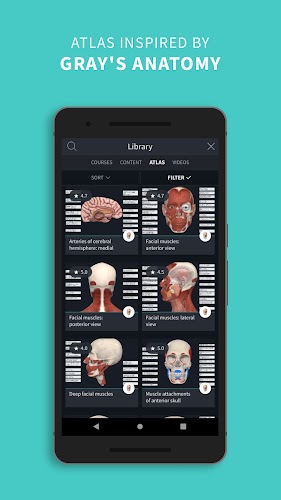 Complete Anatomy 2024 Screenshot6