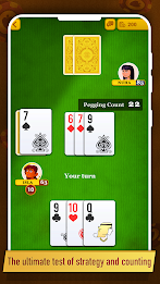 Cribbage Screenshot1