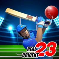 Real World Cup ICC Cricket T20 APK