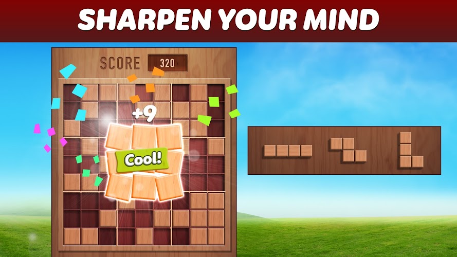 Woody 99 - Sudoku Block Puzzle Screenshot6