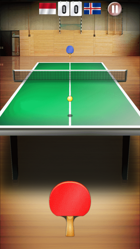 Table Tennis World Tour Screenshot4