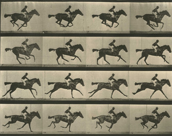 Run Muybridge, run! Screenshot1