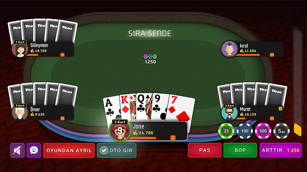 Türk Pokeri Screenshot3