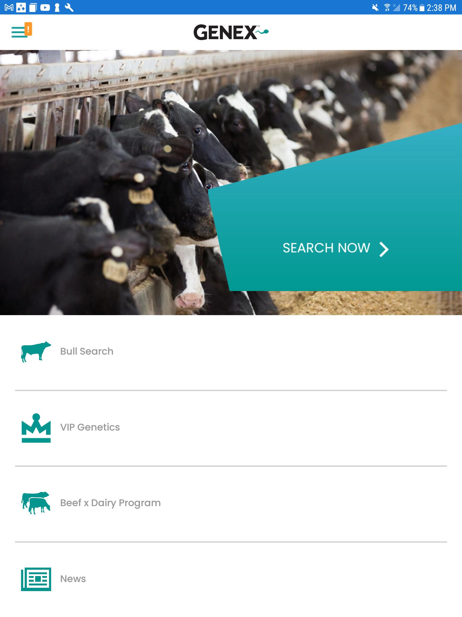 Bull Search Screenshot17