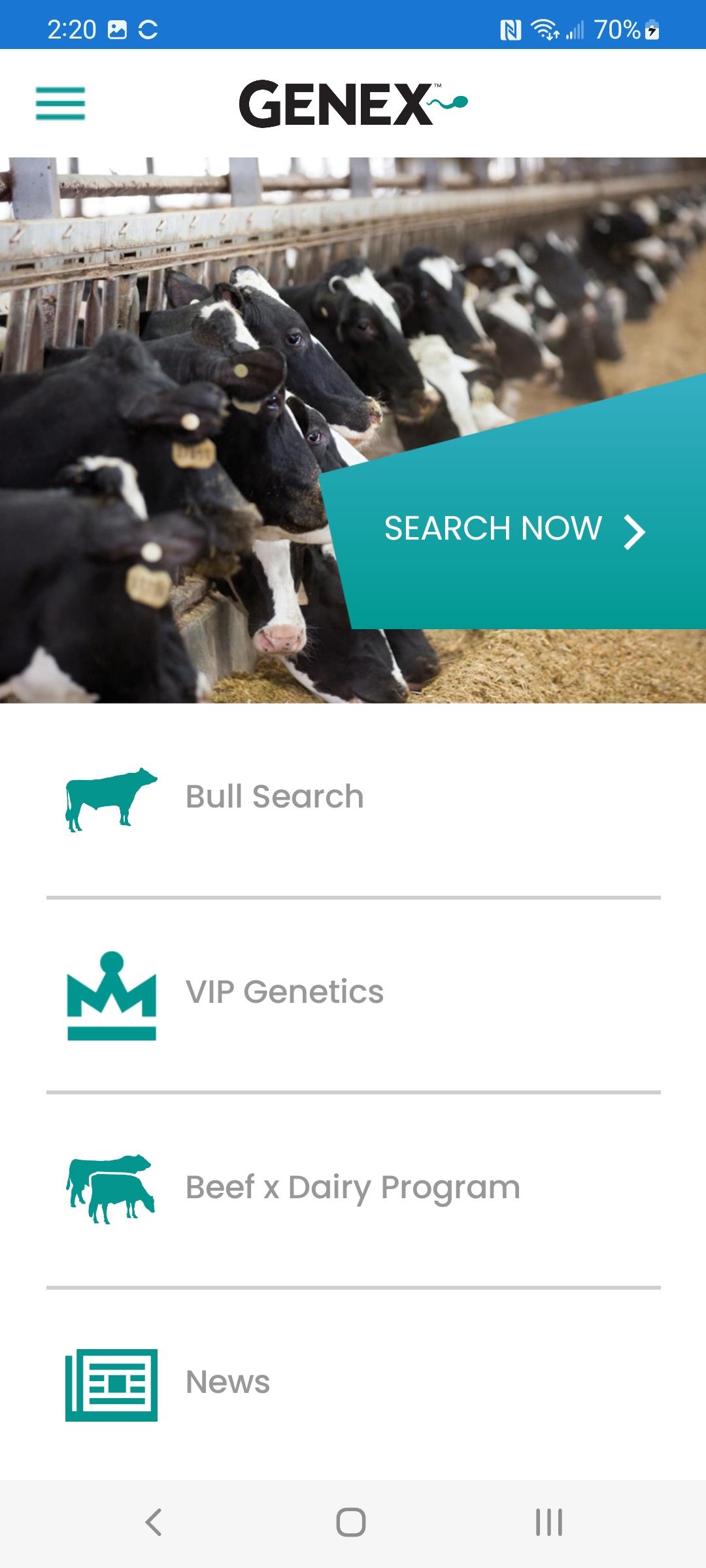 Bull Search Screenshot1