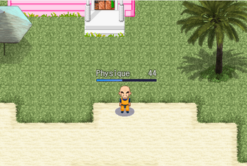 Kamehouse Challenge Screenshot5