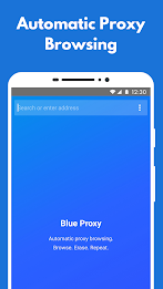 Blue Proxy: proxy browser VPN Screenshot2