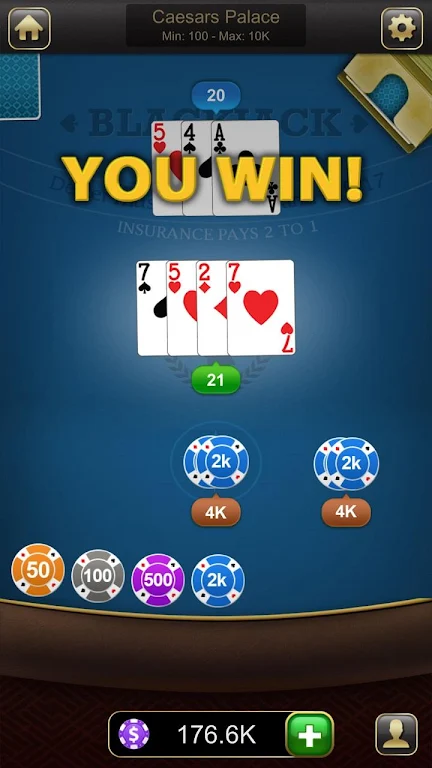 Blackjack 21 Screenshot2