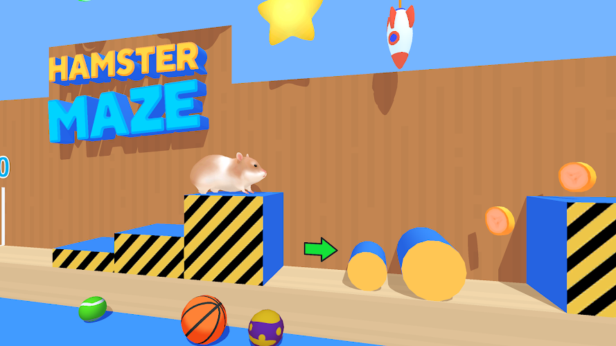 Hamster Maze Screenshot23