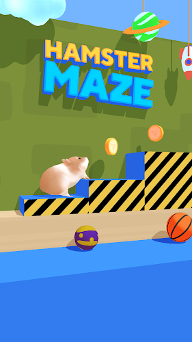 Hamster Maze Screenshot1