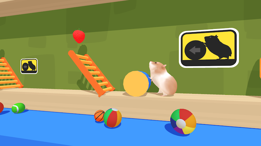 Hamster Maze Screenshot8