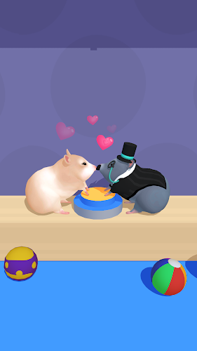 Hamster Maze Screenshot20