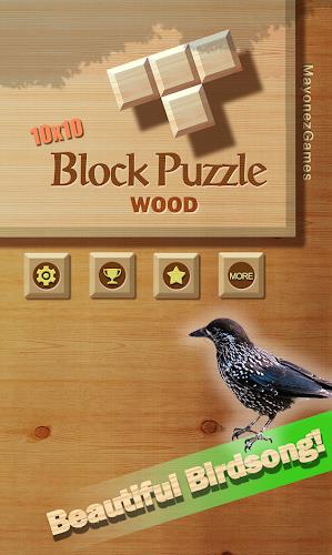 Block Puzzle Wood 1010 : Free Screenshot1