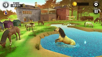 Equestrian: Horse Riding Games Screenshot3