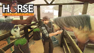 Equestrian: Horse Riding Games Screenshot2