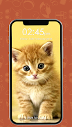 Kitty Cat Pin Lock Screen Screenshot1