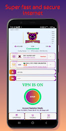 BST SUPER UDP - FAST VPN Screenshot5