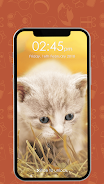 Kitty Cat Pin Lock Screen Screenshot5