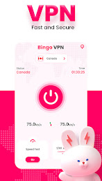 Bingo Vpn - Faster & Stronger Screenshot2