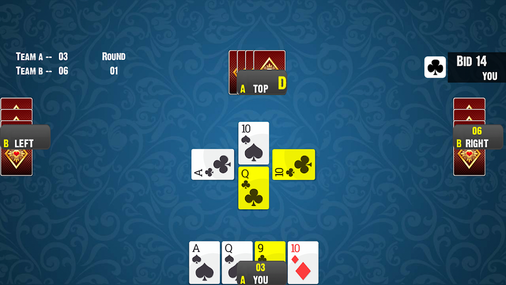 28 Card Game:Offline Card Game Screenshot3