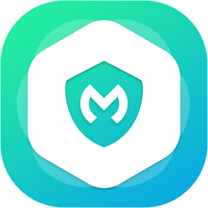 Mega VPN - Fast and Stable APK