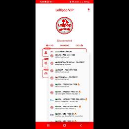 Lollipop VIP VPN Screenshot4