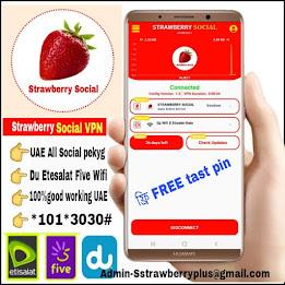 STRAWBERRY SOCIAL VPN Screenshot5