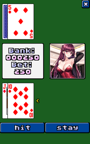 video blackjack Screenshot3