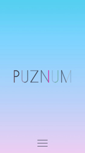 PuzNum Screenshot5