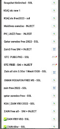 Skyvpn Pro Screenshot5