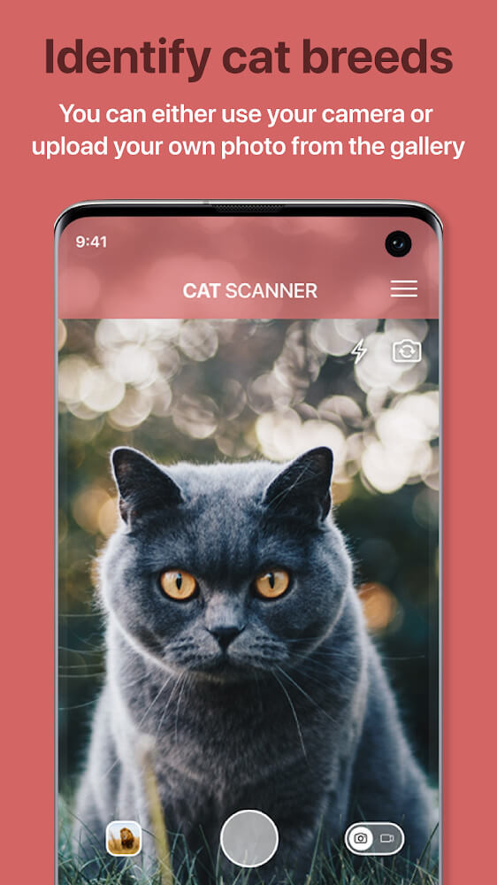 Cat Scanner Mod Screenshot1