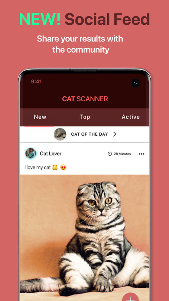 Cat Scanner Mod Screenshot4