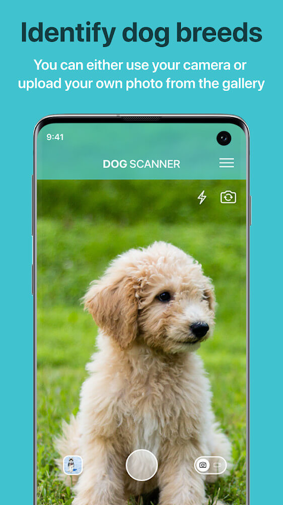 Dog Scanner Mod Screenshot1