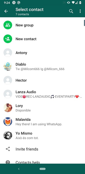 WhatsApp Plus v17.52 Screenshot1