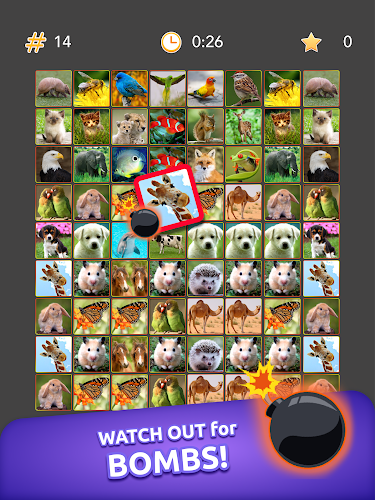 Onnect - Pair Matching Puzzle Screenshot21