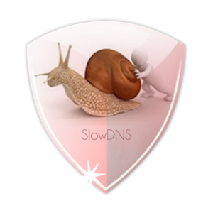 VPN Over DNS  Tunnel : SlowDNS APK