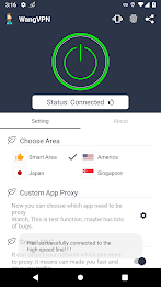 Wang VPN - Fast Secure VPN Screenshot2