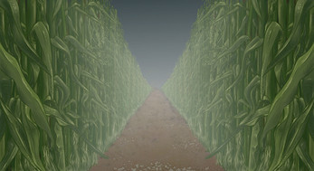 The Maize Maze Screenshot2