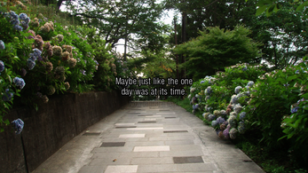 Days Of The Hydrangea Path Screenshot1