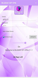 BLUDAN VIP VPN Screenshot1