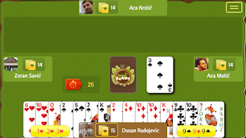 Forest Rummy Screenshot2