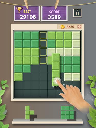 Block Puzzle, Beautiful Brain Screenshot12