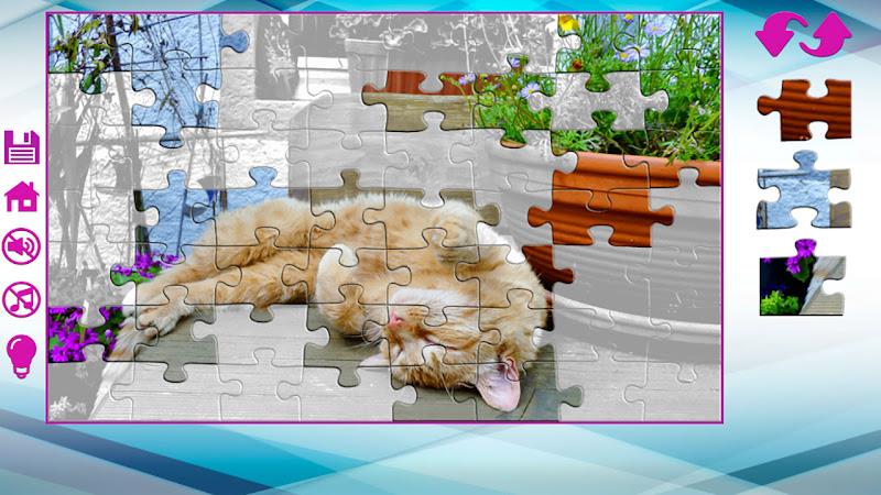 Big puzzles with cats Screenshot11